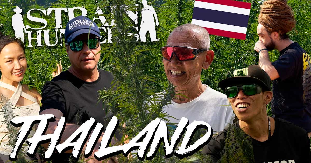 Strain Hunters in Thailand