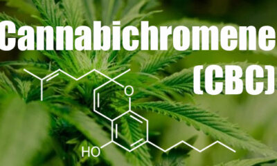 Cannabichromen