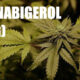 Cannabigerol