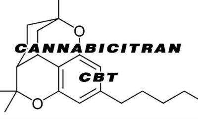 Cannabicitran Cannabinoid CBT