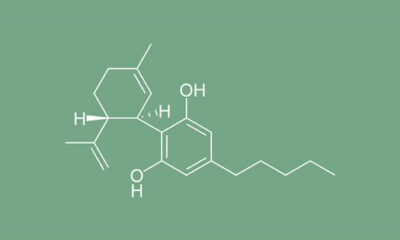 CBD oder Cannabidiol, chemische Struktur