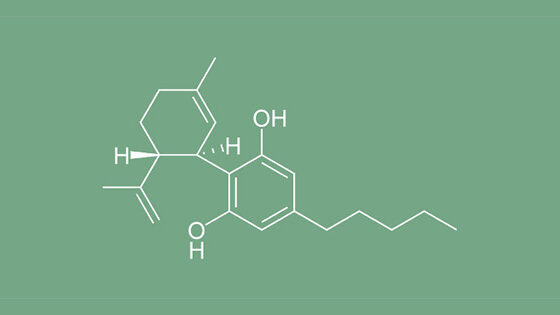 CBD oder Cannabidiol, chemische Struktur