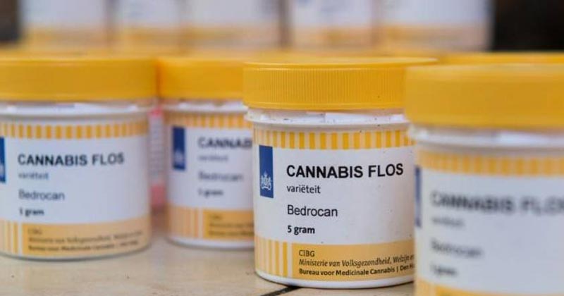 Antrag auf medizinisches Cannabis in Deutschland