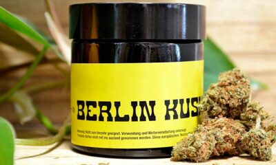 CBD-Blüten in Deutschland