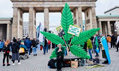 Abstimmung über die Legalisierung von Cannabis in Deutschland