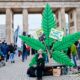 Abstimmung über die Legalisierung von Cannabis in Deutschland