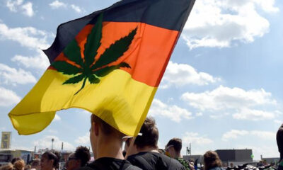 Legalisierung von Cannabis in Deutschland