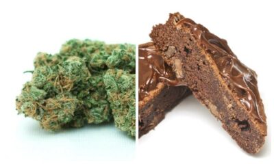 Unterschiede zwischen dem Rauchen und Essen von Cannabis