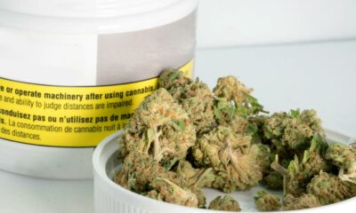 Medizinische Cannabisblüte in Deutschland