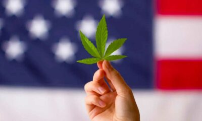 Reklassifizierung von Cannabis in den USA