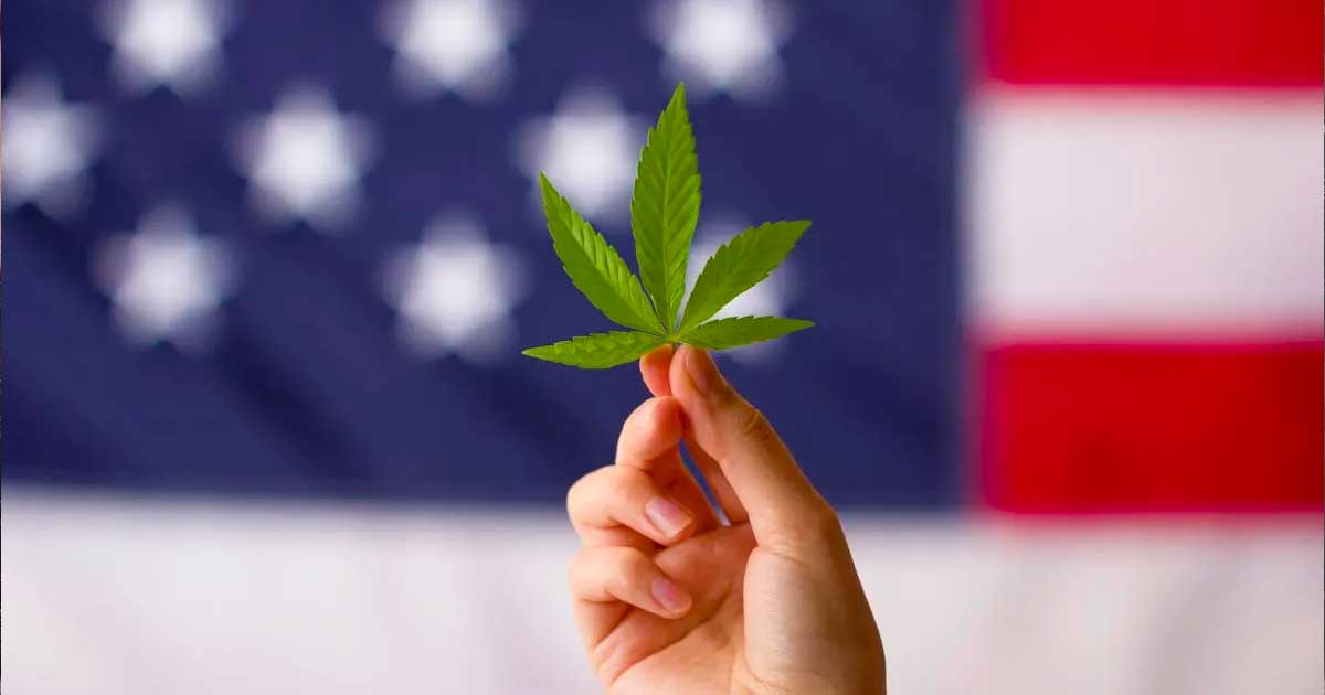 Reklassifizierung von Cannabis in den USA