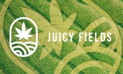 Juicy Fields Betrug