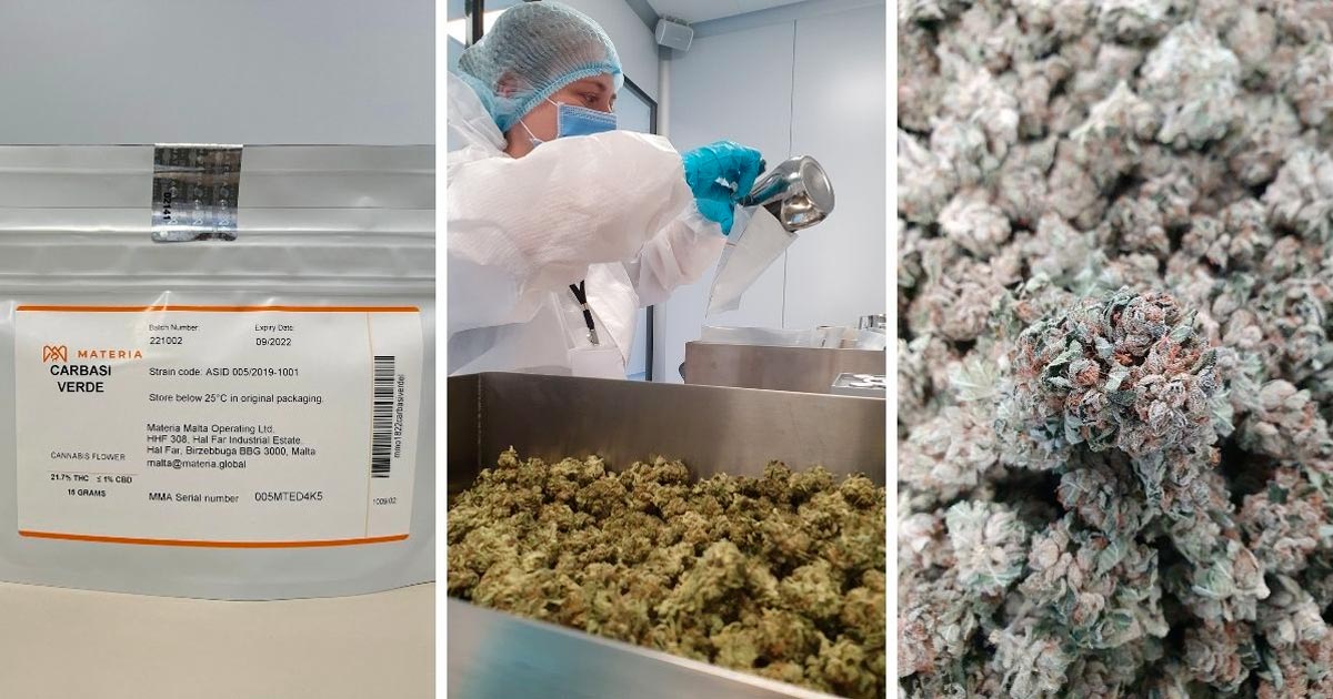 Materia exportiert Cannabis nach Deutschland