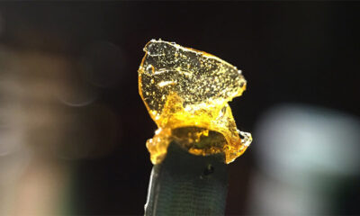 Rosin