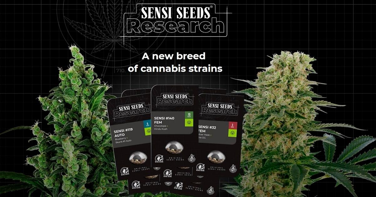 Sensi Seeds und Samen in Deutschland