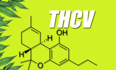 THCV