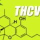 THCV