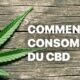 Wie man CBD konsumiert