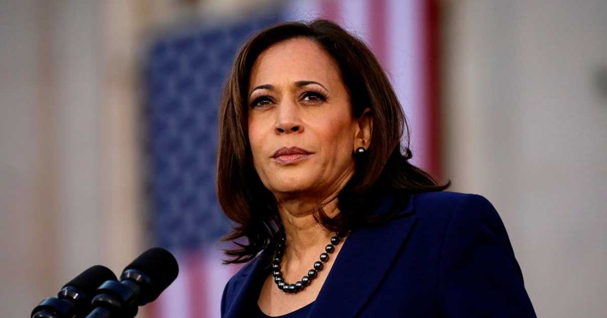 Kamala Harris und Cannabis als Brückendroge