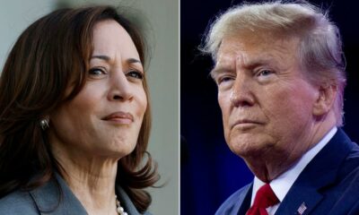 Legalisierung von Cannabis in den USA mit Kamala Harris oder Donald Trump