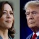 Legalisierung von Cannabis in den USA mit Kamala Harris oder Donald Trump