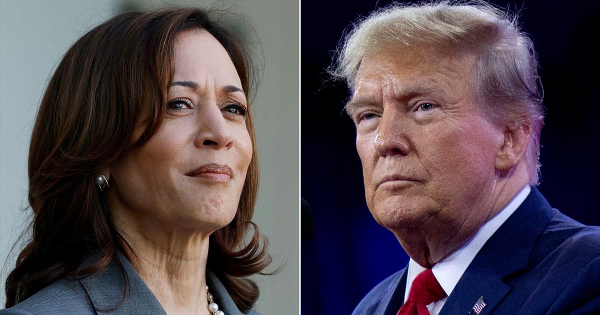 Legalisierung von Cannabis in den USA mit Kamala Harris oder Donald Trump