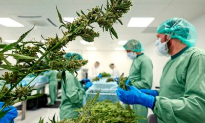 Medizinisches Cannabis in der Ukraine