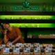 Regulierung von legalem Cannabis in Thailand