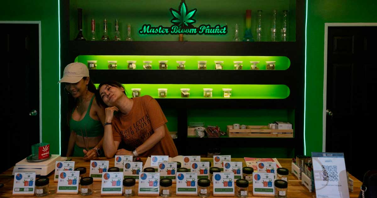 Regulierung von legalem Cannabis in Thailand