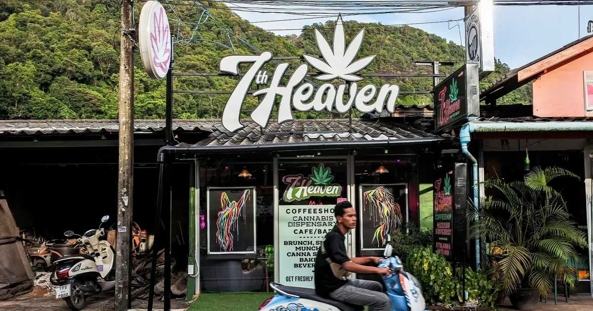 Regulierung von Cannabis in Thailand