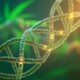 Cannabis und DNA