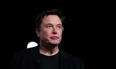 Elon Musk gegen die Legalisierung von Cannabis in Florida