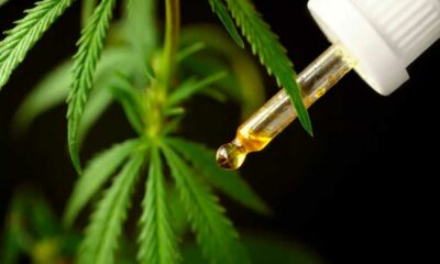 Medizinisches Cannabis in Brasilien bis 2024