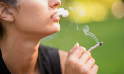 Cannabiskonsum sinkt bei Teenagern