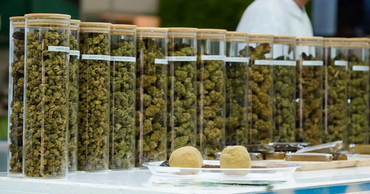 THC-Produkte in der Tschechischen Republik