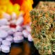 Medizinisches Cannabis und Opioide